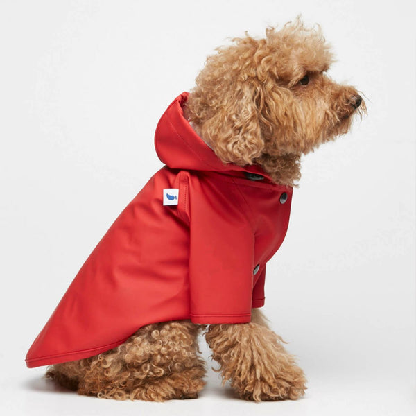 Waterproof Dog Raincoat Eco-Friendly Stylish! Raincoat, 57% OFF