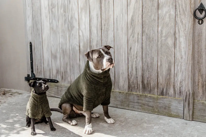 Kentucky Dog Coat Teddy Fleece - Pine Green