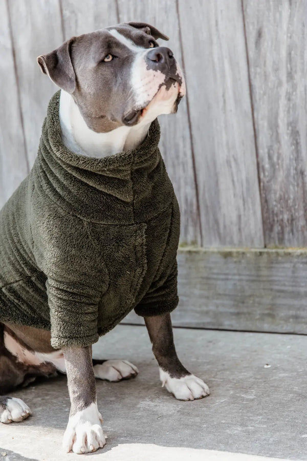 Kentucky Dog Coat Teddy Fleece - Pine Green