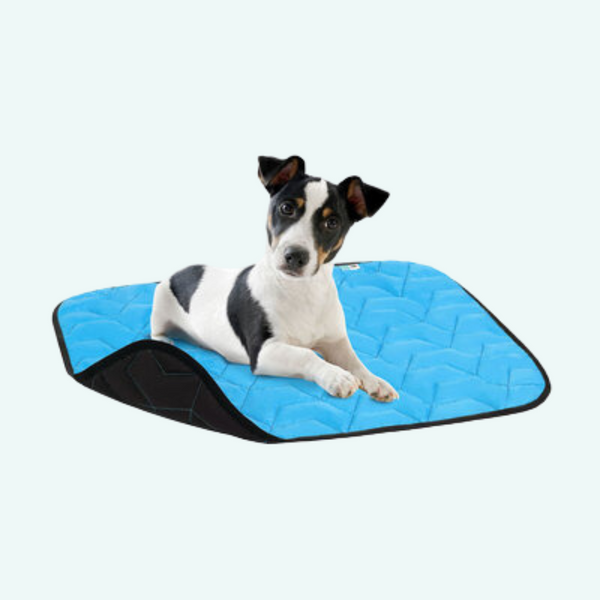 Airy Dog Travel Mat - Reversible Blue/Black