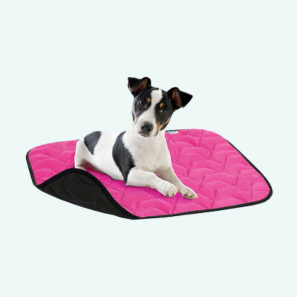 Airy Dog Travel Mat - Reversible Pink/Black