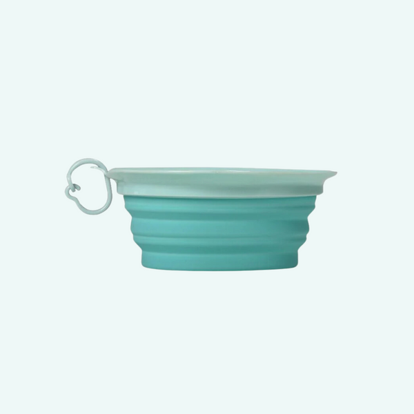 Small Leaf Travel Bowl - Aqua/Blue