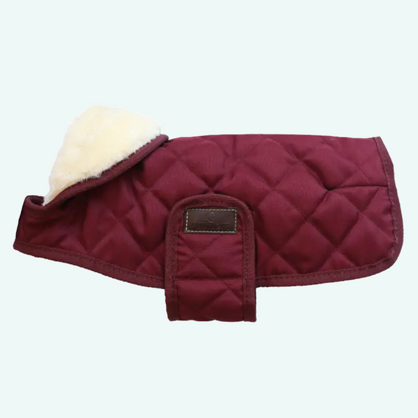 Kentucky Dog Coat -  Bordeaux