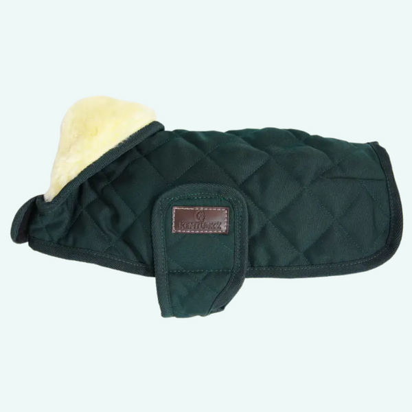 Kentucky Dog Coat - Dark Green