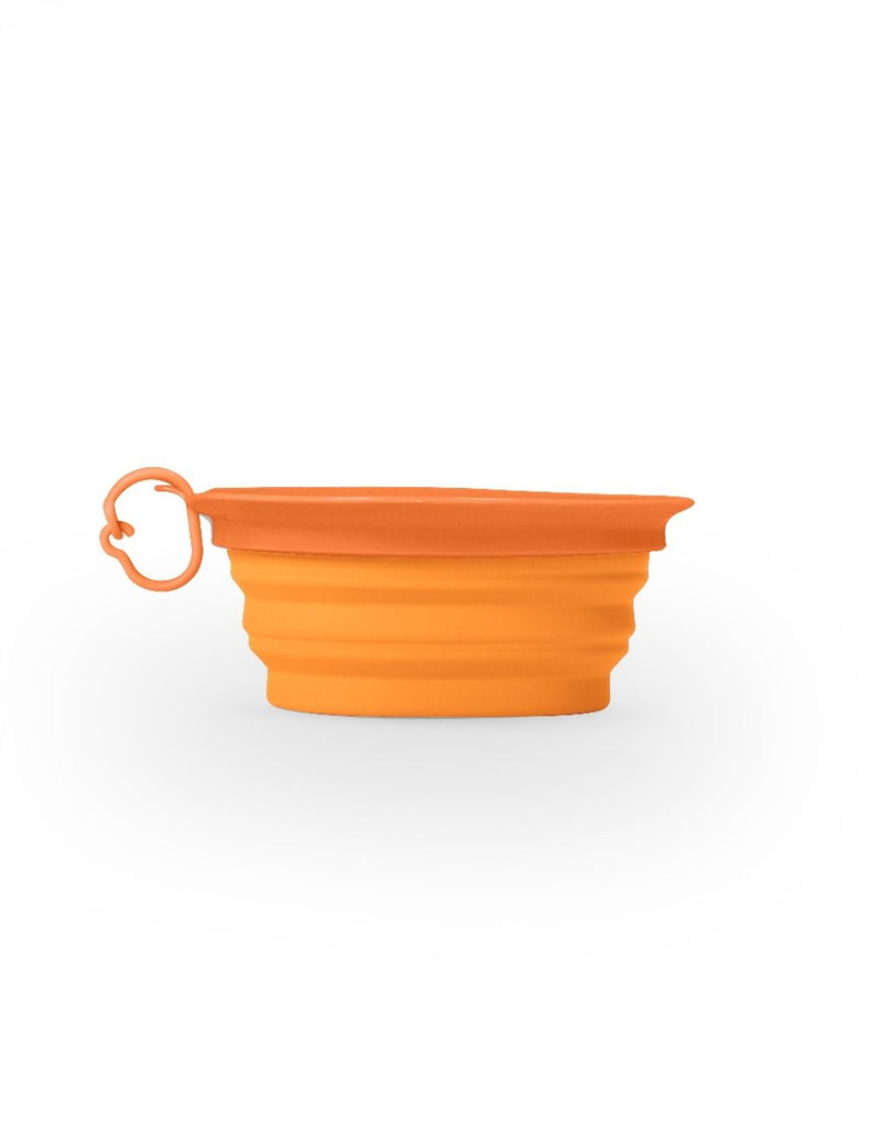 Small Leaf Travel Bowl - Orange/Pink