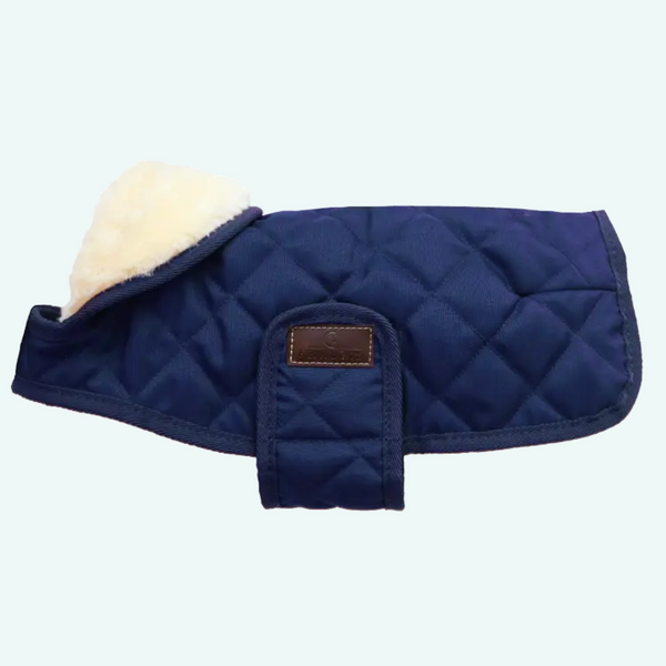 Kentucky Dog Coat - Navy