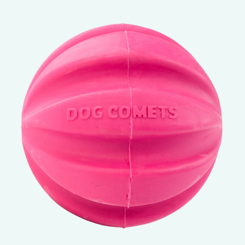 Dog Comet Halley Pink Ball