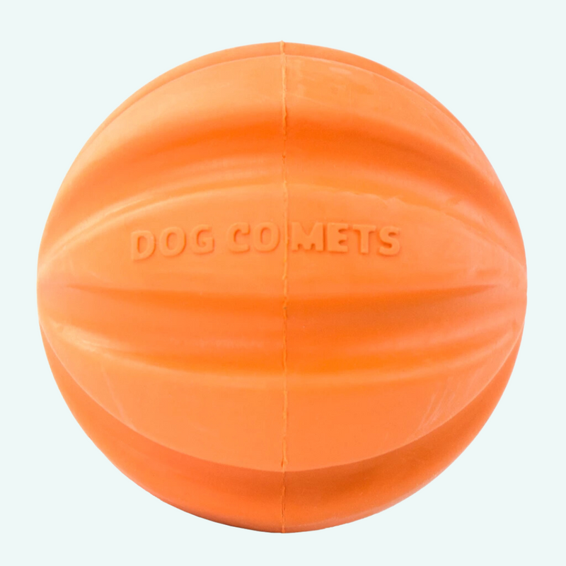 Dog Comet Swift Tut orange ball