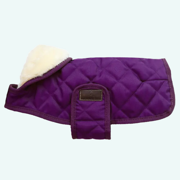 Kentucky Dog Coat - Royal Purple