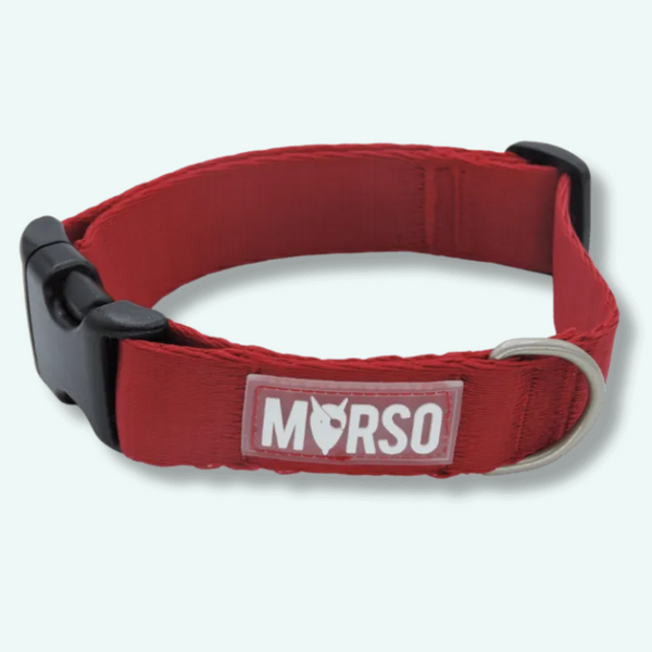 Morso H Harness Ruby Addiction