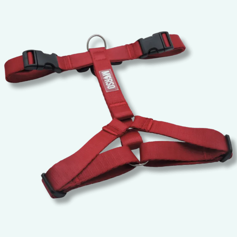 Morso Mini Harness Adjust Ruby Addiction