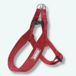 Morso Mini Harness Adjust Ruby Addiction