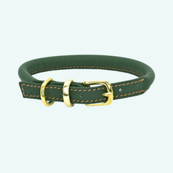 D&H Rolled Leather Collar - Green/Brass