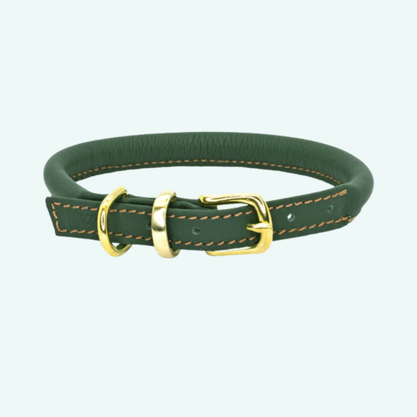 D&H Rolled Leather Collar - Green/Brass