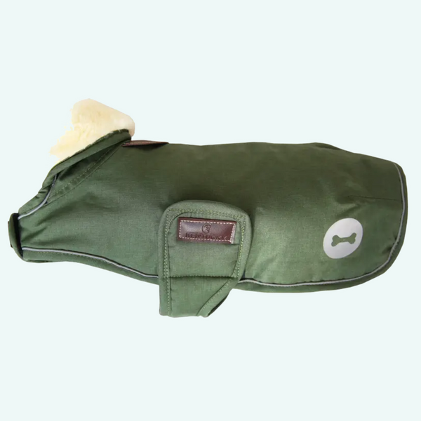 Kentucky Waterproof Dog Coat - Olive