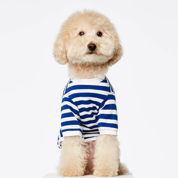 TPW David striped T shirt Blue | woofers & barkers