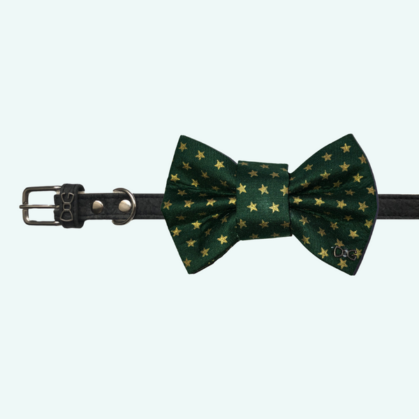 Funky Dog Xmas Green/Gold Stars Bow Tie