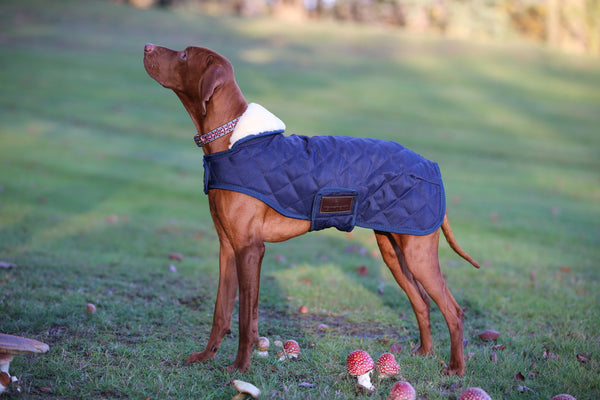 Kentucky Dog Coat - Navy