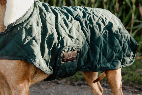 Kentucky Dog Coat - Dark Green